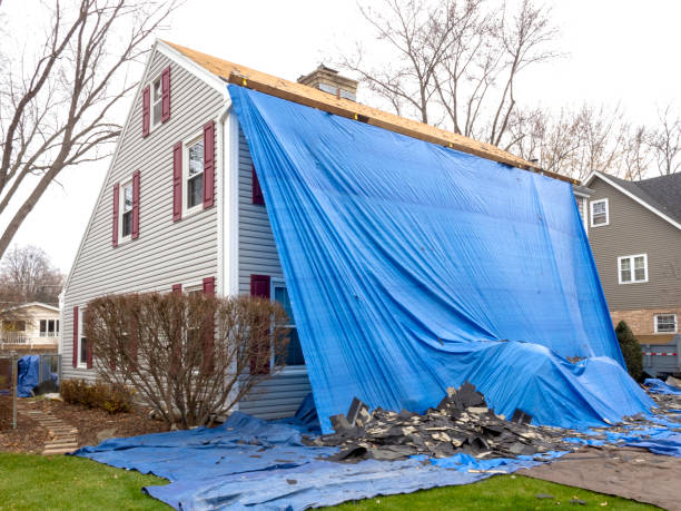 Best Carpet Removal and Disposal  in Dayton, IN